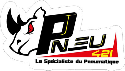 PNEU 421